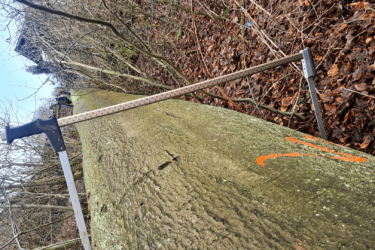 Windbruch Starkbuche vermessen