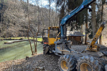 Freistellung eines Teiches mit Wasserbergung